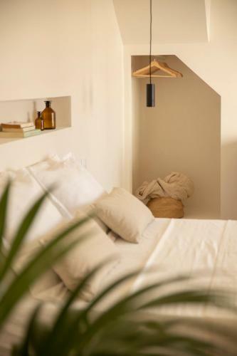 Apartamento San Felipe Suites