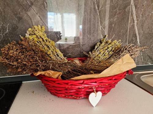 Apartamento Lovely One Bedroom Studio In Tirana