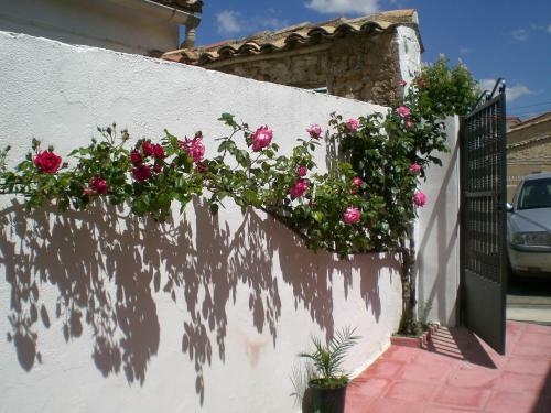 Agroturismo Alojamiento Rural Sierra Luz