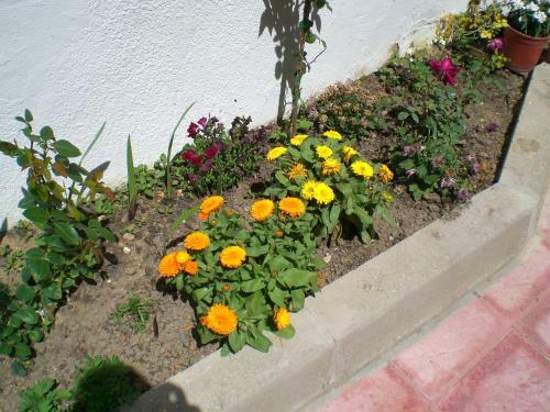 Agroturismo Alojamiento Rural Sierra Luz