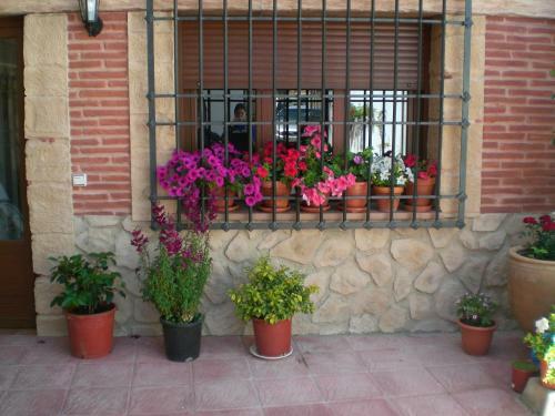 Agroturismo Alojamiento Rural Sierra Luz
