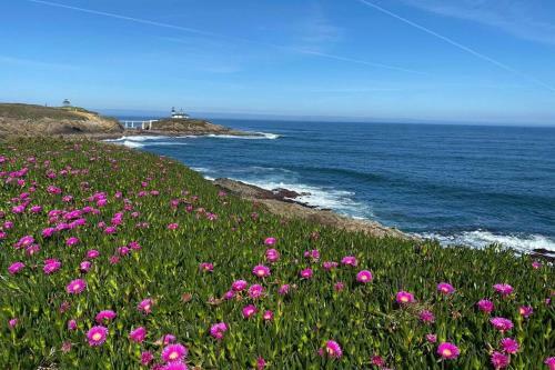 Apartamento Ribadeo Cant�brico Ypor� Deptos