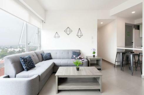 San Angel Luxury Apartment 2br 2ba 1parking