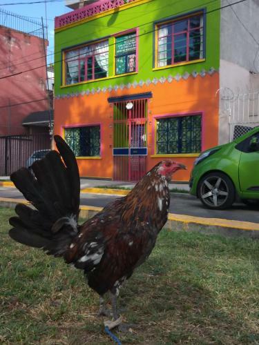 La Frida Casa Mexicana Lila 2o Piso
