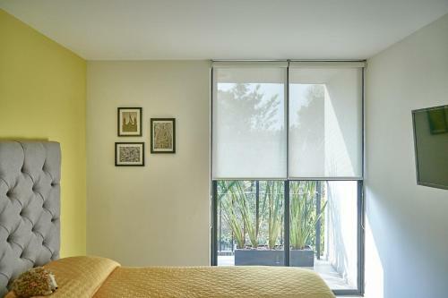 Apartamento Arm�nico Departamento Ciudad de M�xico