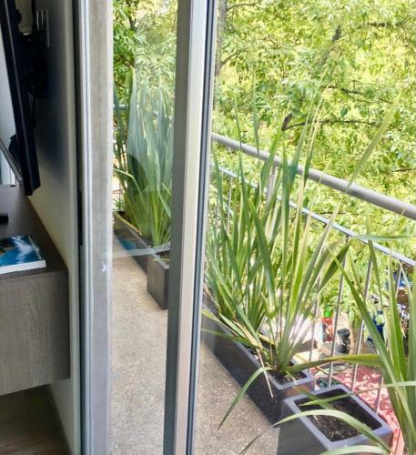 Apartamento Bonito Departamento Ciudad de M�xico