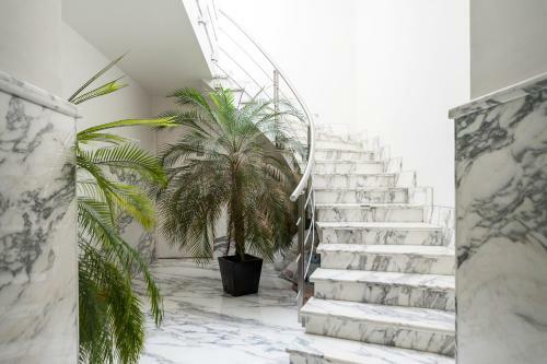 Condesa Df Wonderful Apartment