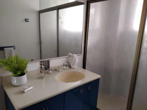 Modern Masaryk Apartment 3br In Polanco
