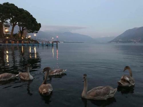 Brissago Lake Apartment