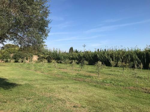 Apartamento La Caseta Del Mas Valls