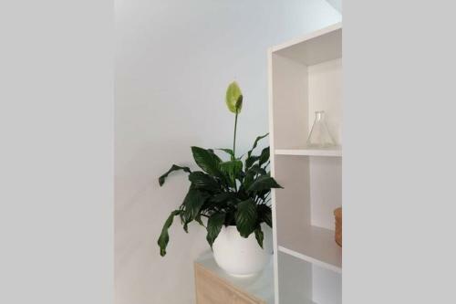 Cijeli Apartman Za Goste, Sarajevo