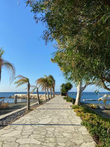 Amathus Luxury Holiday Apartment