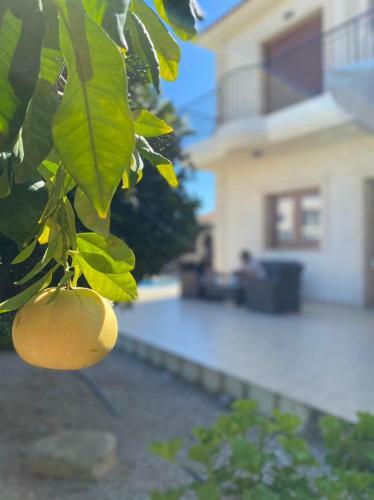 Episkopi Villa, Luxury 4 Bedroom With Pool - Limassol