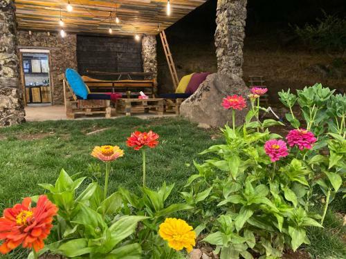 Hotel Elegis Village Resort