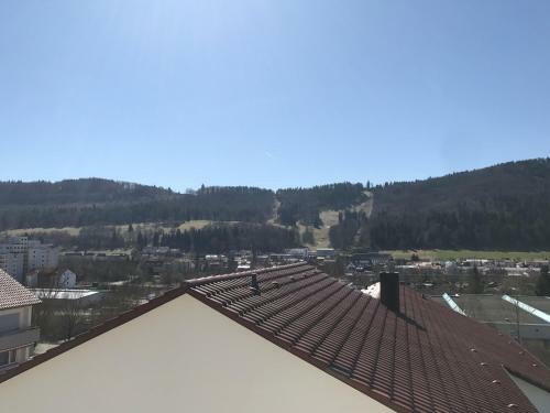 Apartamento Zollernalb-apartment
