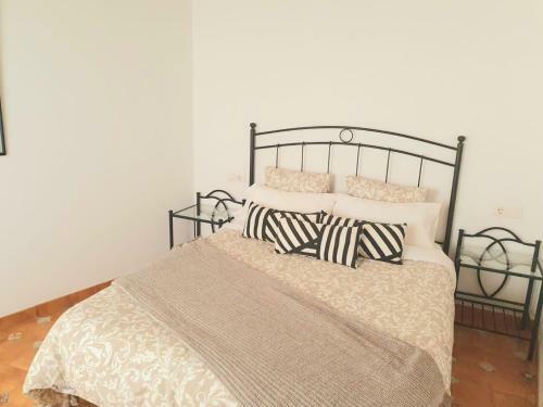 Vista Tunte, Camino de Santiago