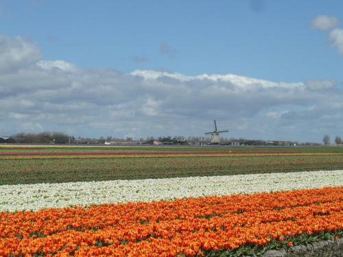 Vakantiehuizen Hollandse Kust