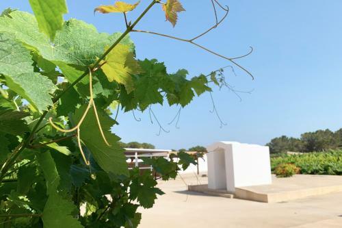 Aptos Rurales Sa Barda - Vi�edos Y Tranquilidad