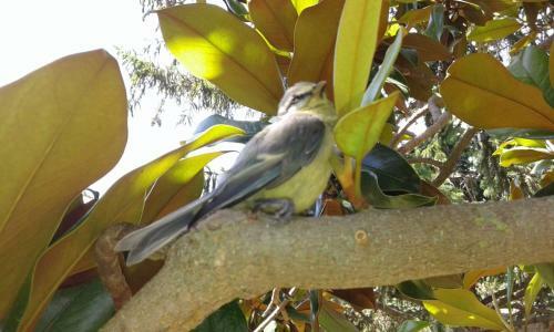 Cal Maduxaire Casa Aislada-h�pica