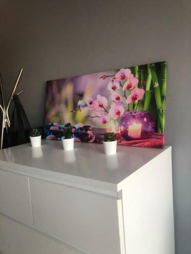 Studio �quip�, Salle de Bain Priv�e, Proche Centre Ville