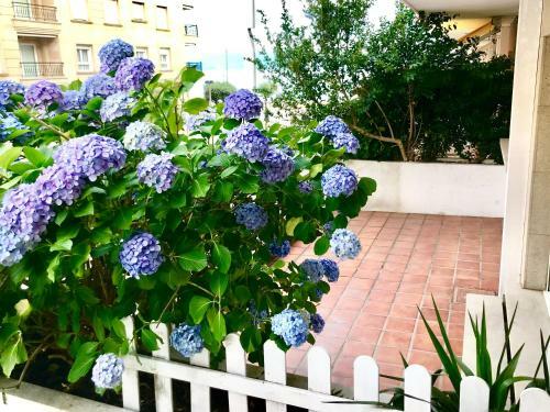 Apartamento Sanxenxo Playa Silgar 30m