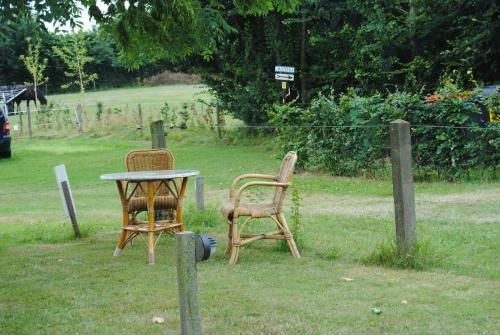 B&B Warnstee