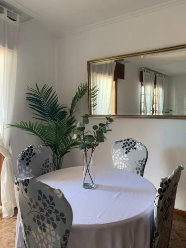 Apartamento Terraza