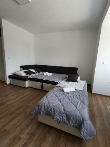 Apartman Mms