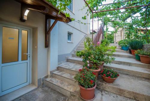 Apartman Nikola