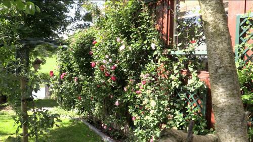 Bed & Breakfast B & B Zazza