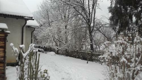 Ferienhaus D�briach Am Millst�tter See