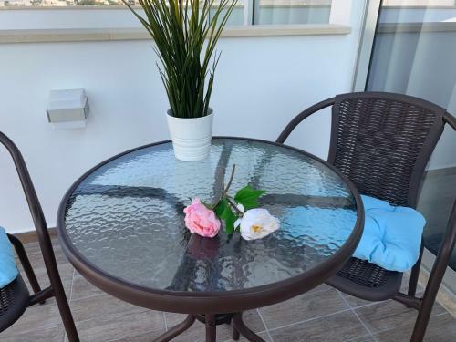 Hostal Nicosia 5 Stars Suites