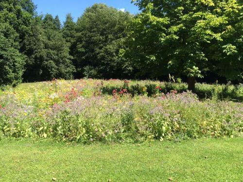 Bed & Breakfast Landhuis Sere