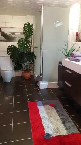 Hostal Ferienunterkunft Malu-sol