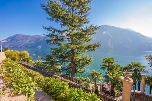 Apartamento Gelsomino Orchidea Magnolia Apt. 3,4,1