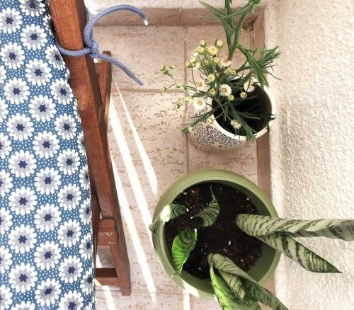 Apartamento Anemomylos Guesthouse