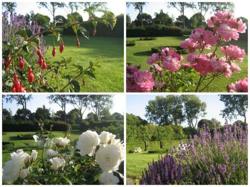 Hostal Hofstede Elzenoord