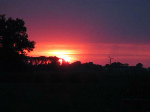 Bed & Breakfast Logeerboerderij-camping De Salix