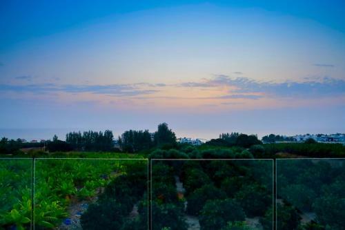 Sophia's Seaview Luxury Villas