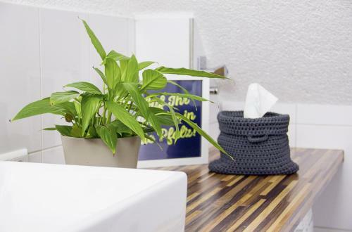 Apartamento Spelzenhof - Ferienwohnung Im Obergeschoss