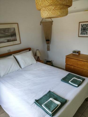 Top Seaview Apartment In Peyia