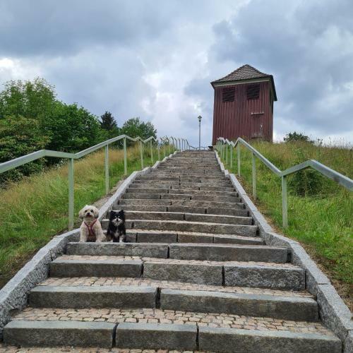 Apartamento Harz Im Herzen