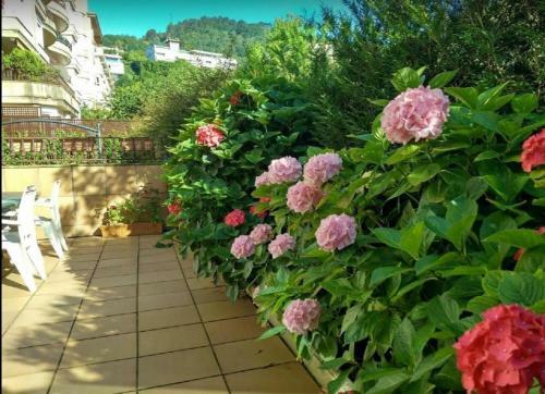 Apartamento Ondarreta Beach & Terrace