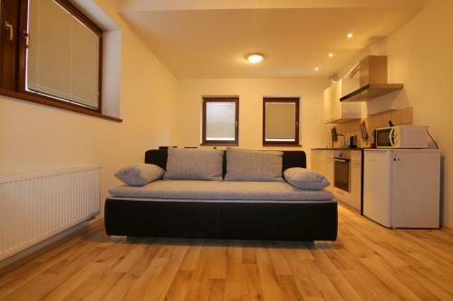 Apartm�n ?ist� V Krkono?�ch