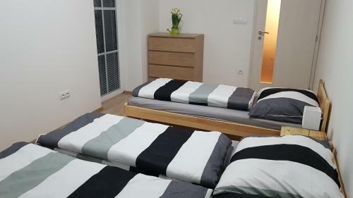 Apartm�n Alfa 11