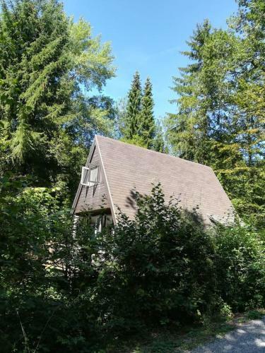 Chalet In De Ardense Bossen