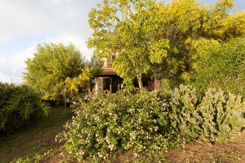 Home2book Amazing Teide View & Terrace