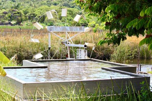 Ecopark Ch�cara Niquim - Camping