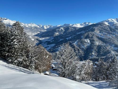 Apartamento Chalet Oberb�rtji Furna