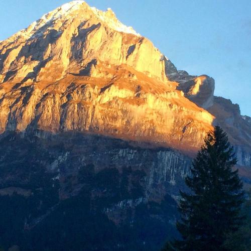 Eiger, Jungfrau, Luxury Garden Apartment